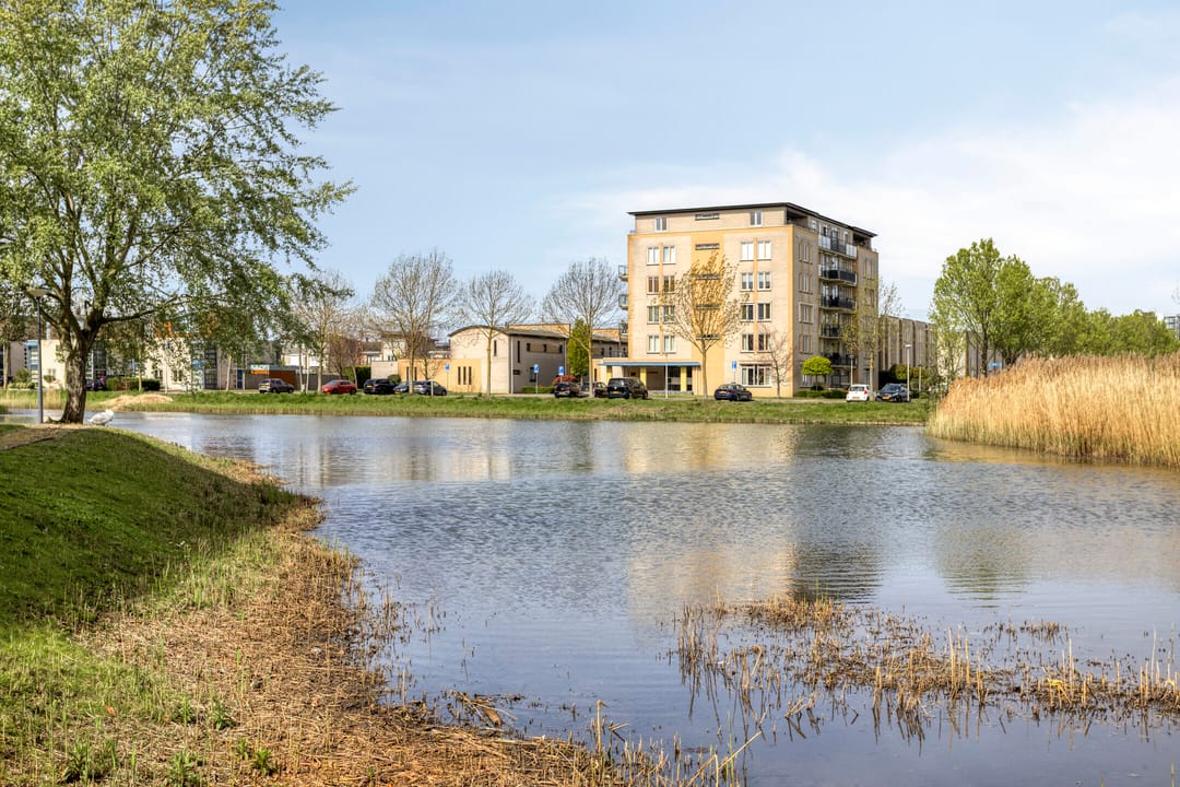 Photo 26 of Ansjovislaan 224