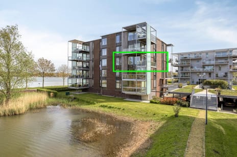 Ansjovislaan thumbnail