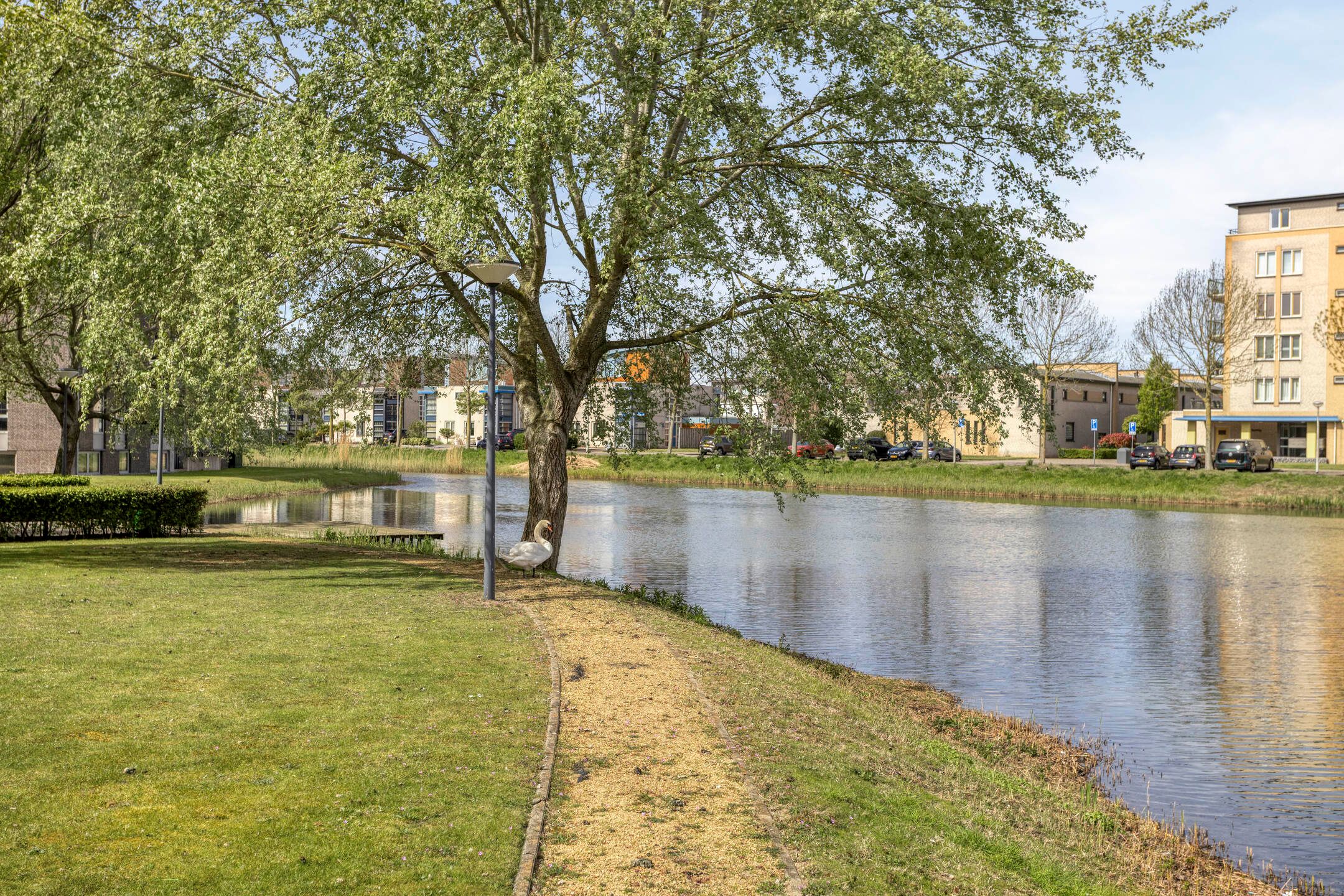 Photo 27 of Ansjovislaan 224