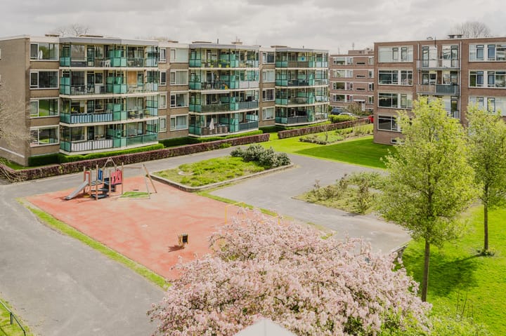 Foto 4 van Schalkeroord 333