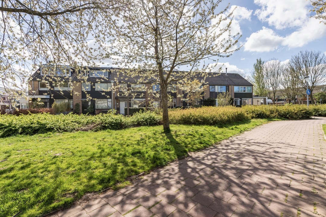 Foto 2 van Noppenstraat 60