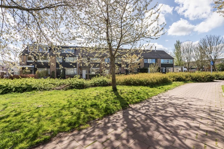 Foto 2 van Noppenstraat 60