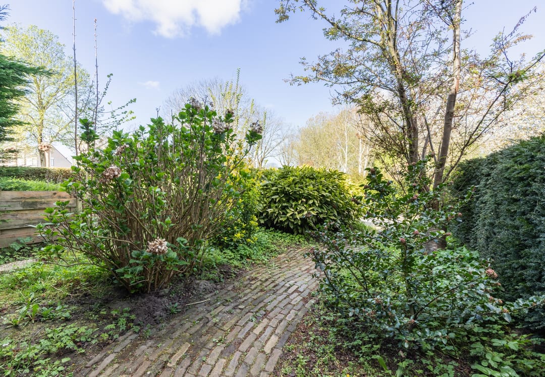 Foto 43 van Noppenstraat 60