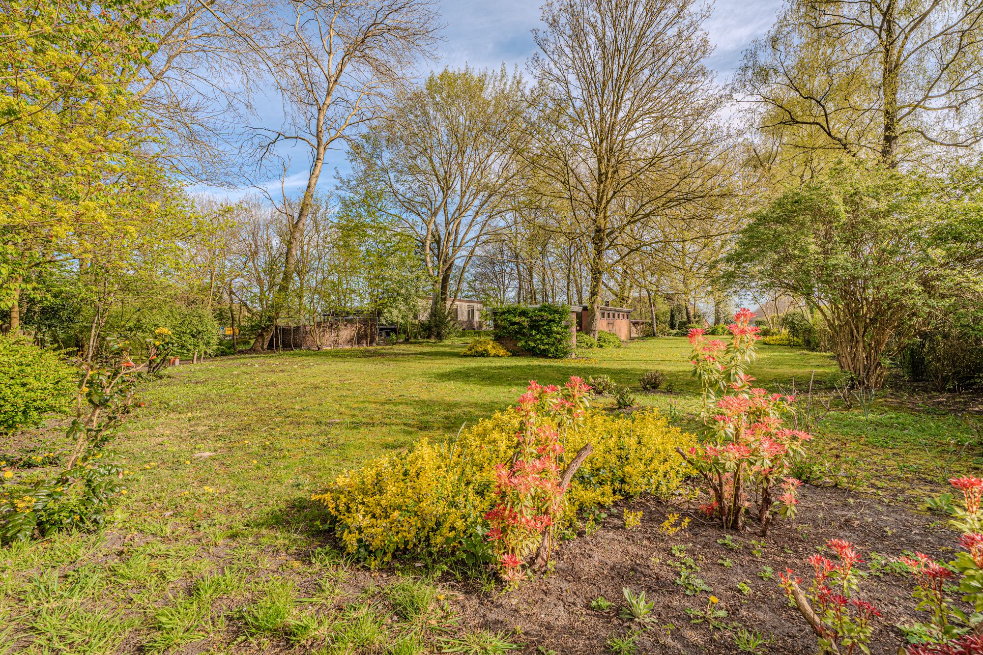 Foto 15 van Barkelazwet 1