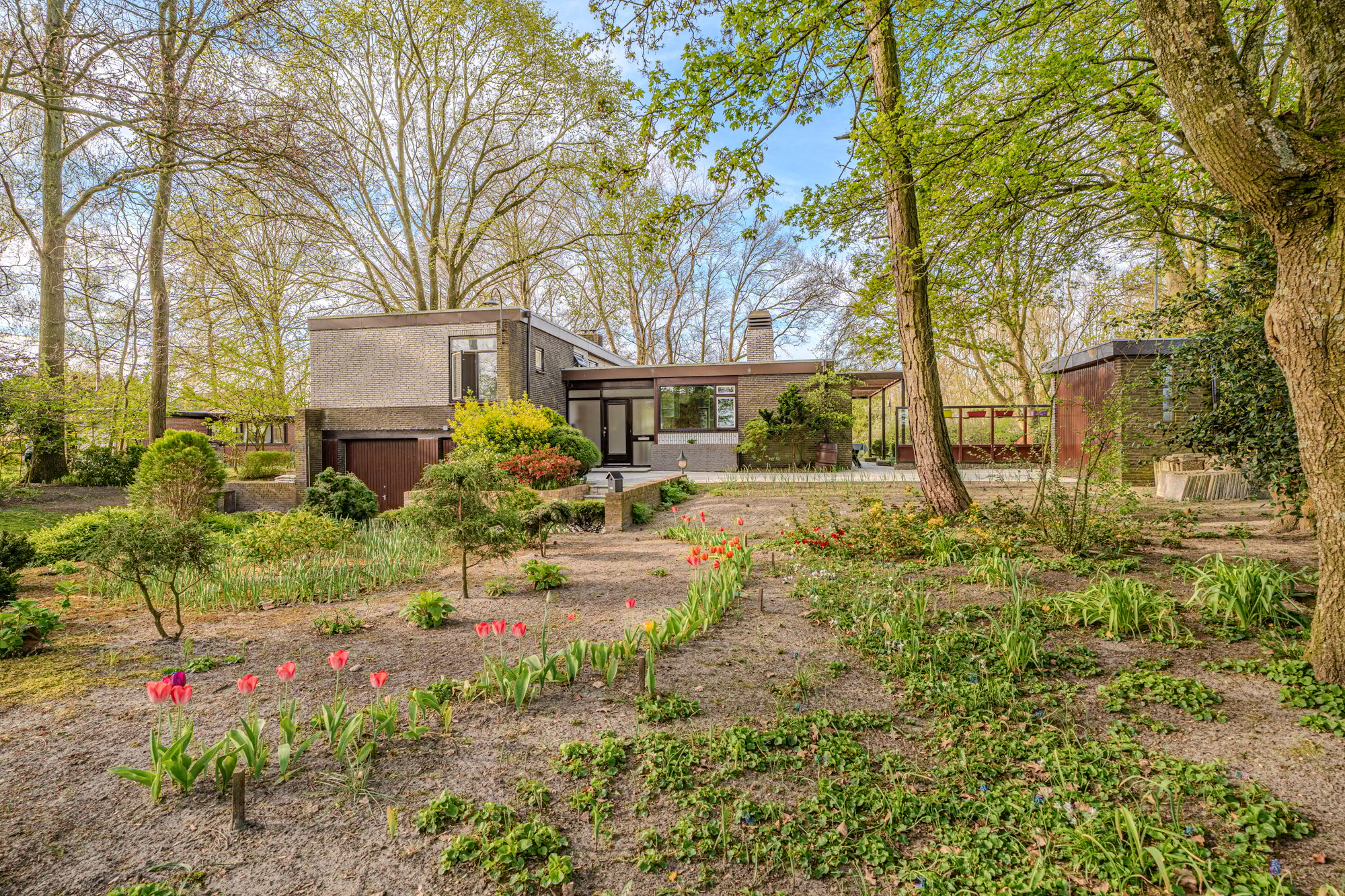 Foto 21 van Barkelazwet 1