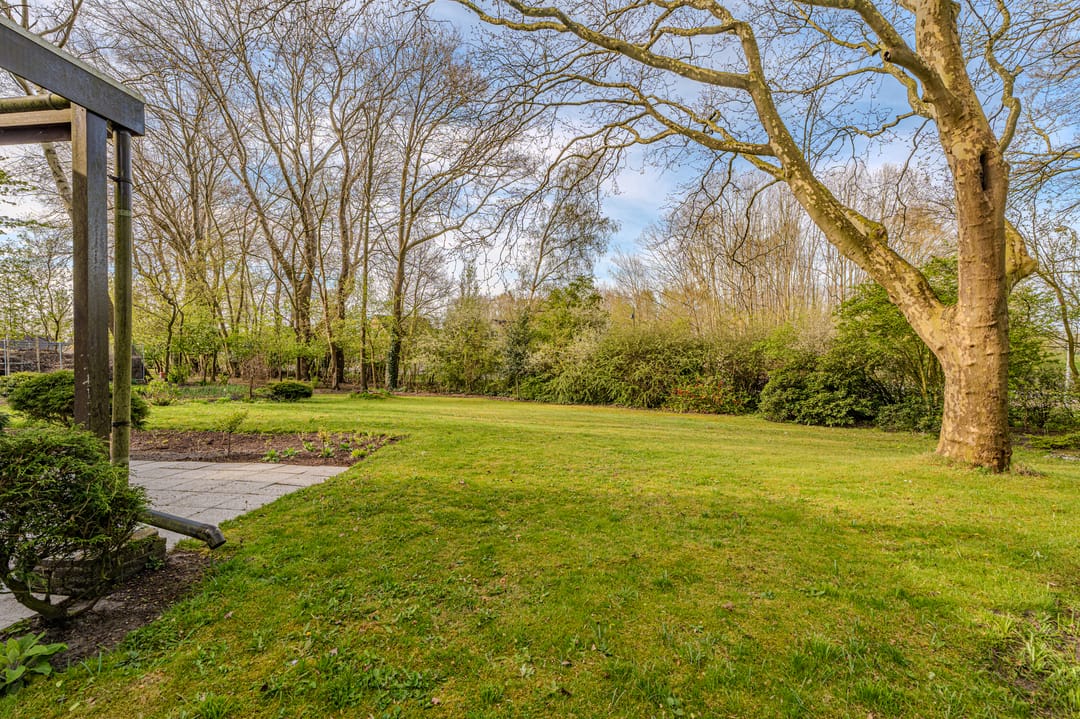 Foto 8 van Barkelazwet 1