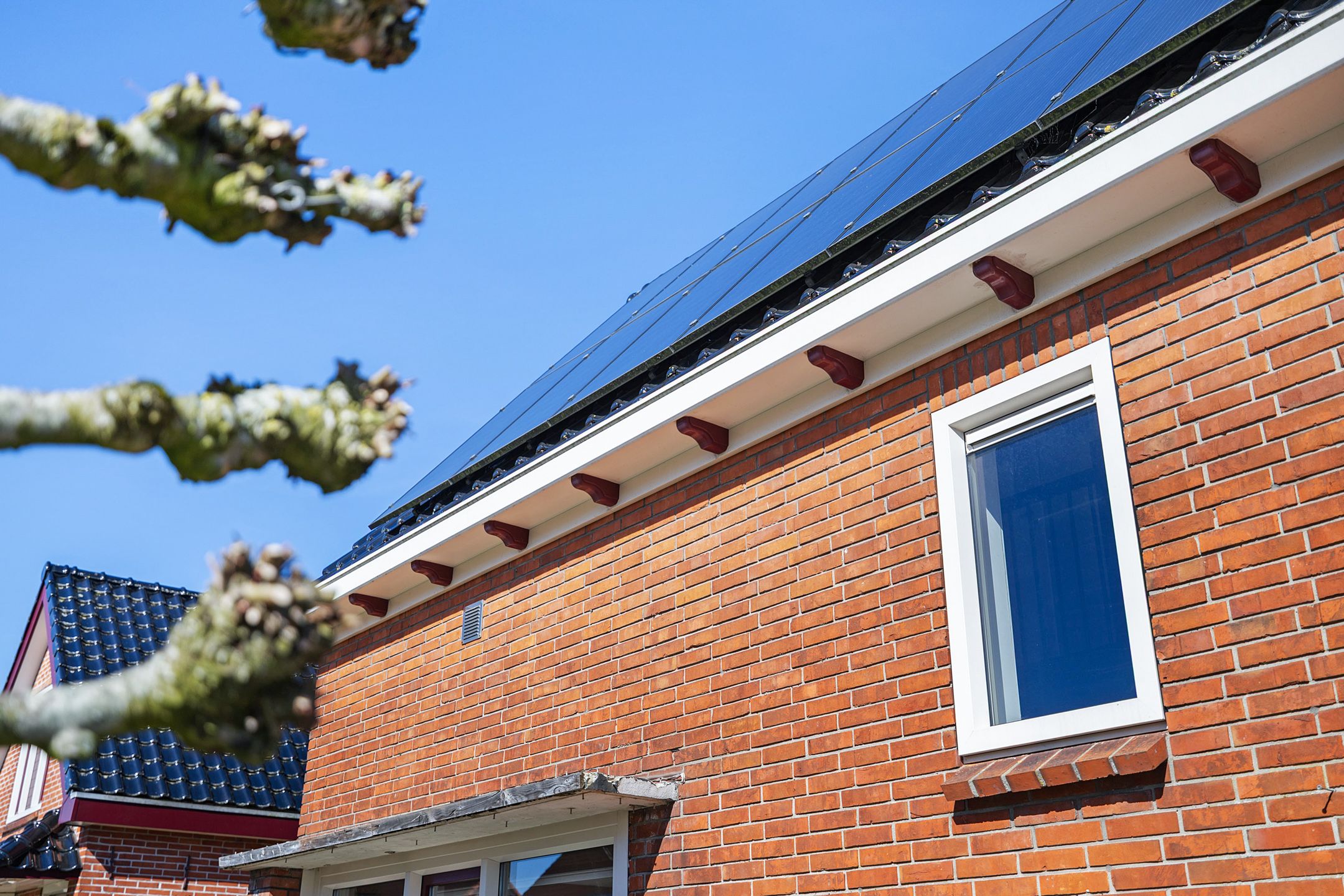 Foto 9 van Schwartzenberghlaan 101