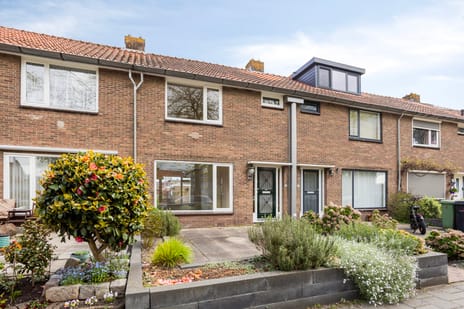 Tutein Noltheniusplein thumbnail