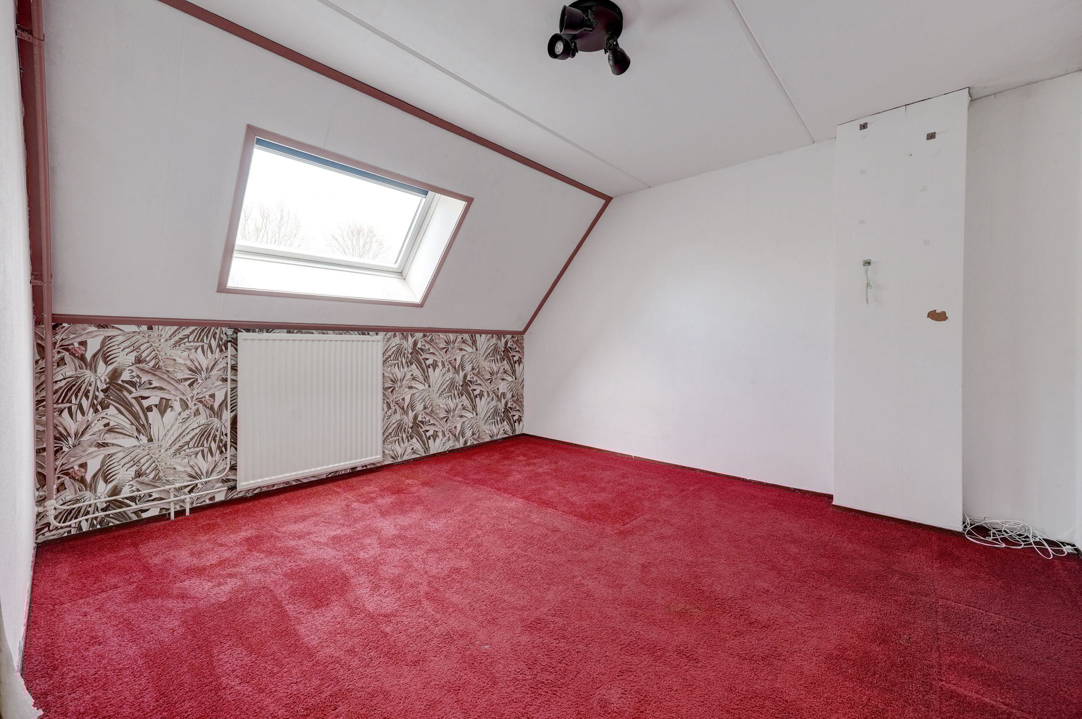 Foto 18 van Koemate 35