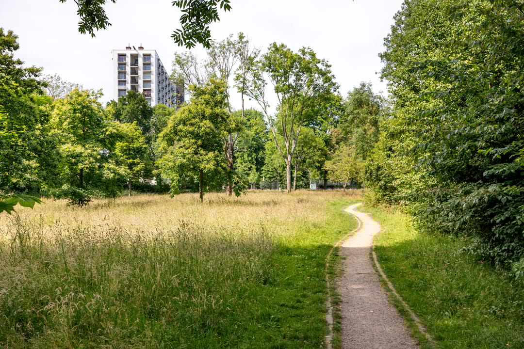 Foto 31 van Kamerlingh Onnesstraat 63