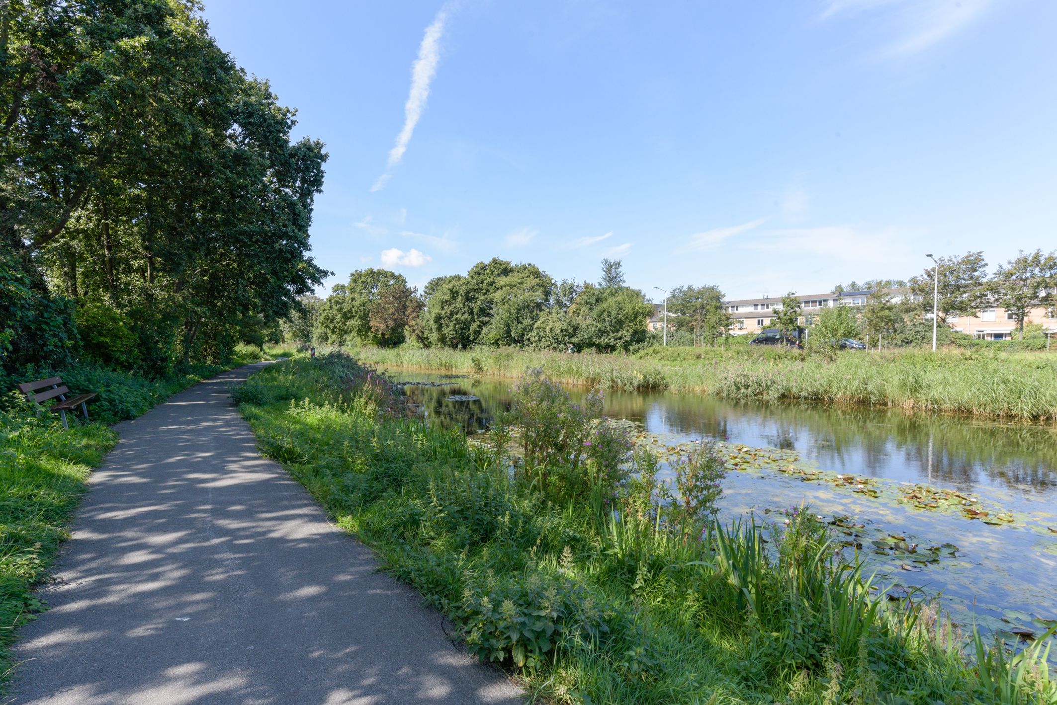 Foto 42 van Lobelialaan 166