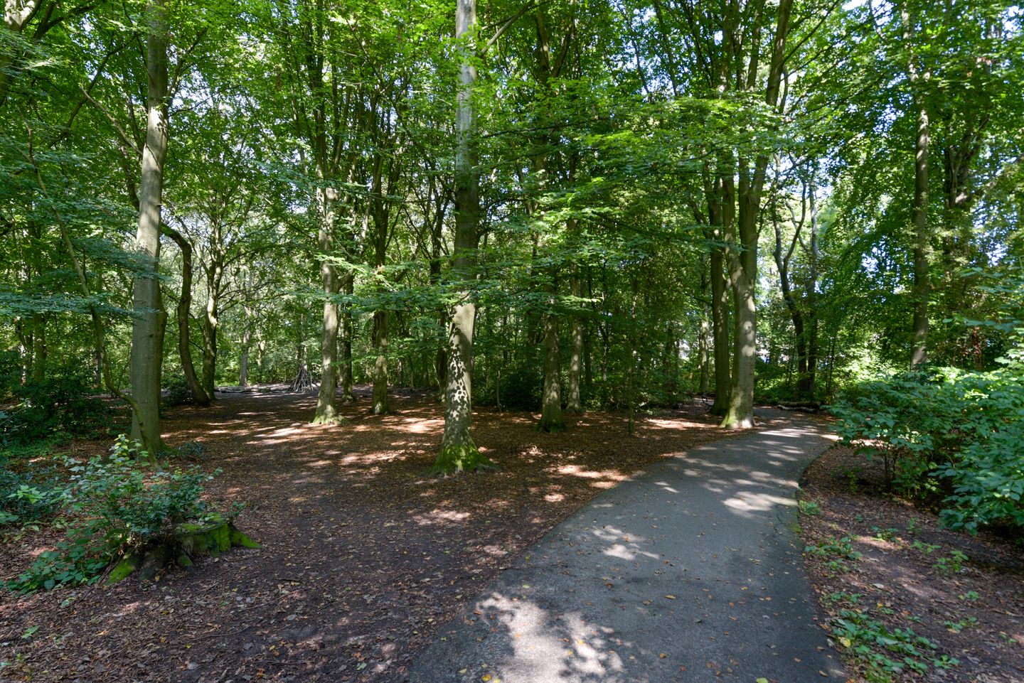 Foto 44 van Lobelialaan 166