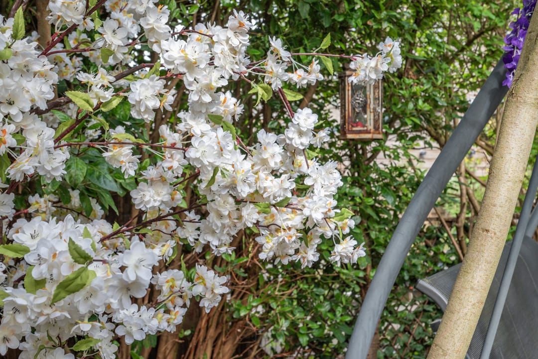 Foto 52 van Romenpad 97