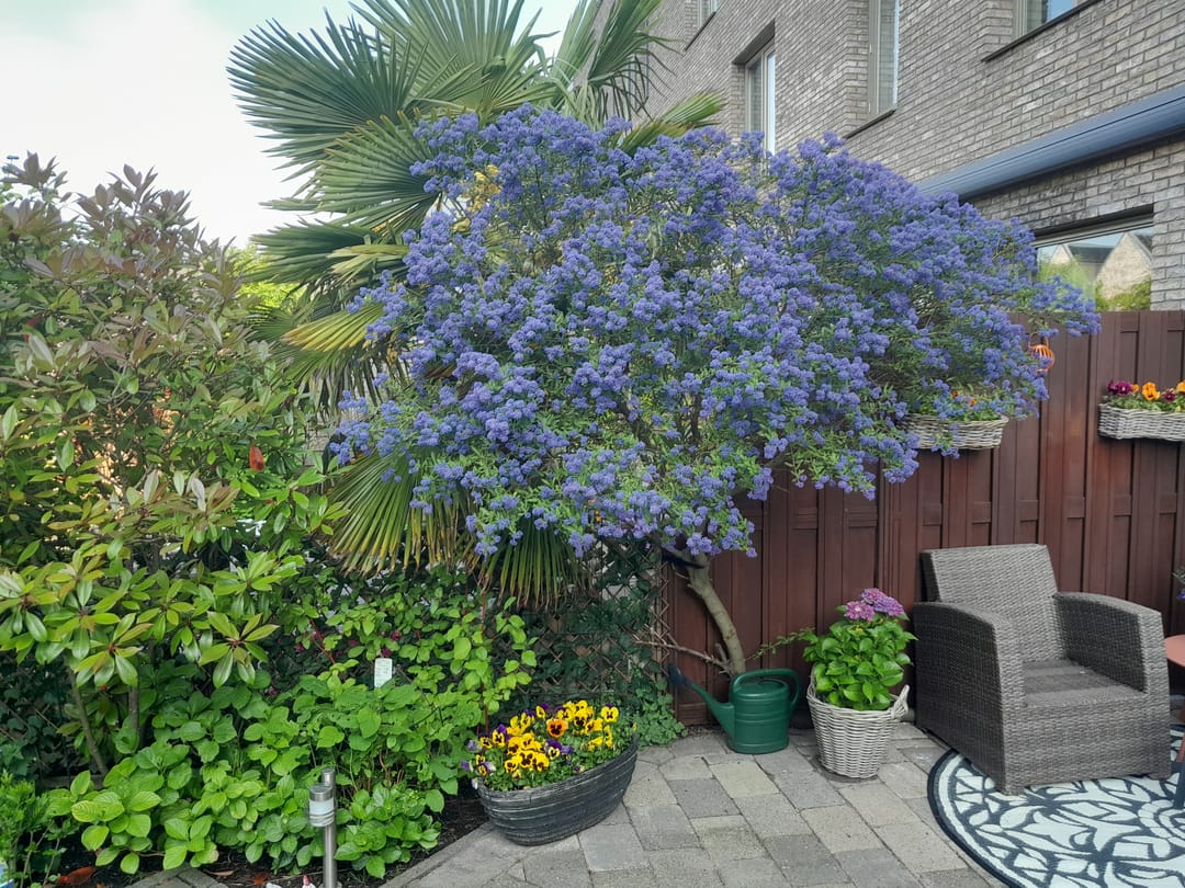 Foto 53 van Romenpad 97