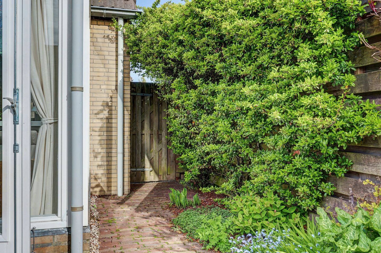 Foto 25 van Biezenveld 11