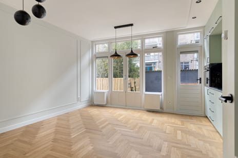 Borgesiusstraat thumbnail