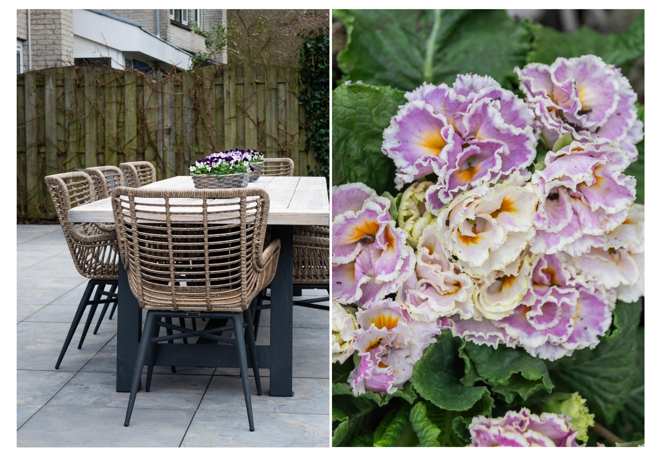 Foto 36 van Koggewagen 50