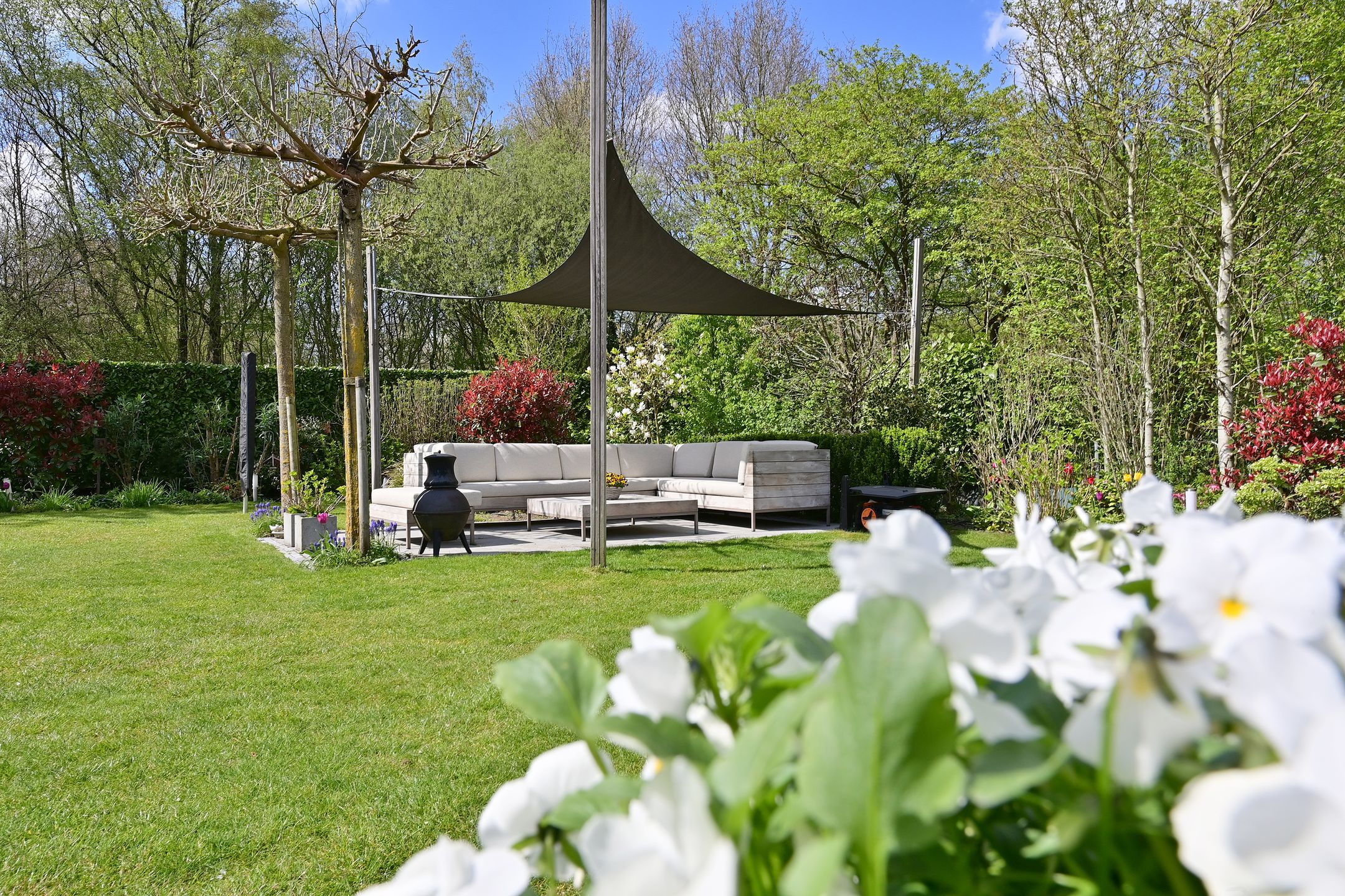 Foto 33 van Koggewagen 50