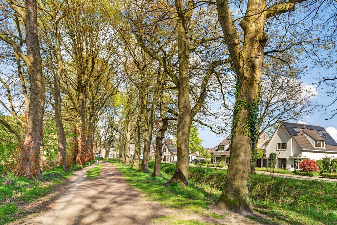 Foto 43 van Klimopstraat 13