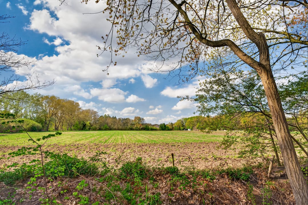 Foto 46 van Klimopstraat 13