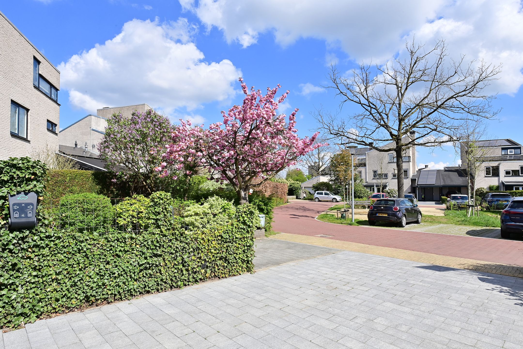 Foto 39 van Koggewagen 50