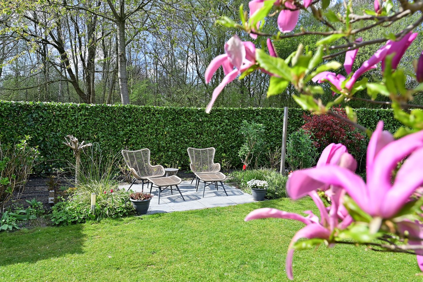 Foto 29 van Koggewagen 50