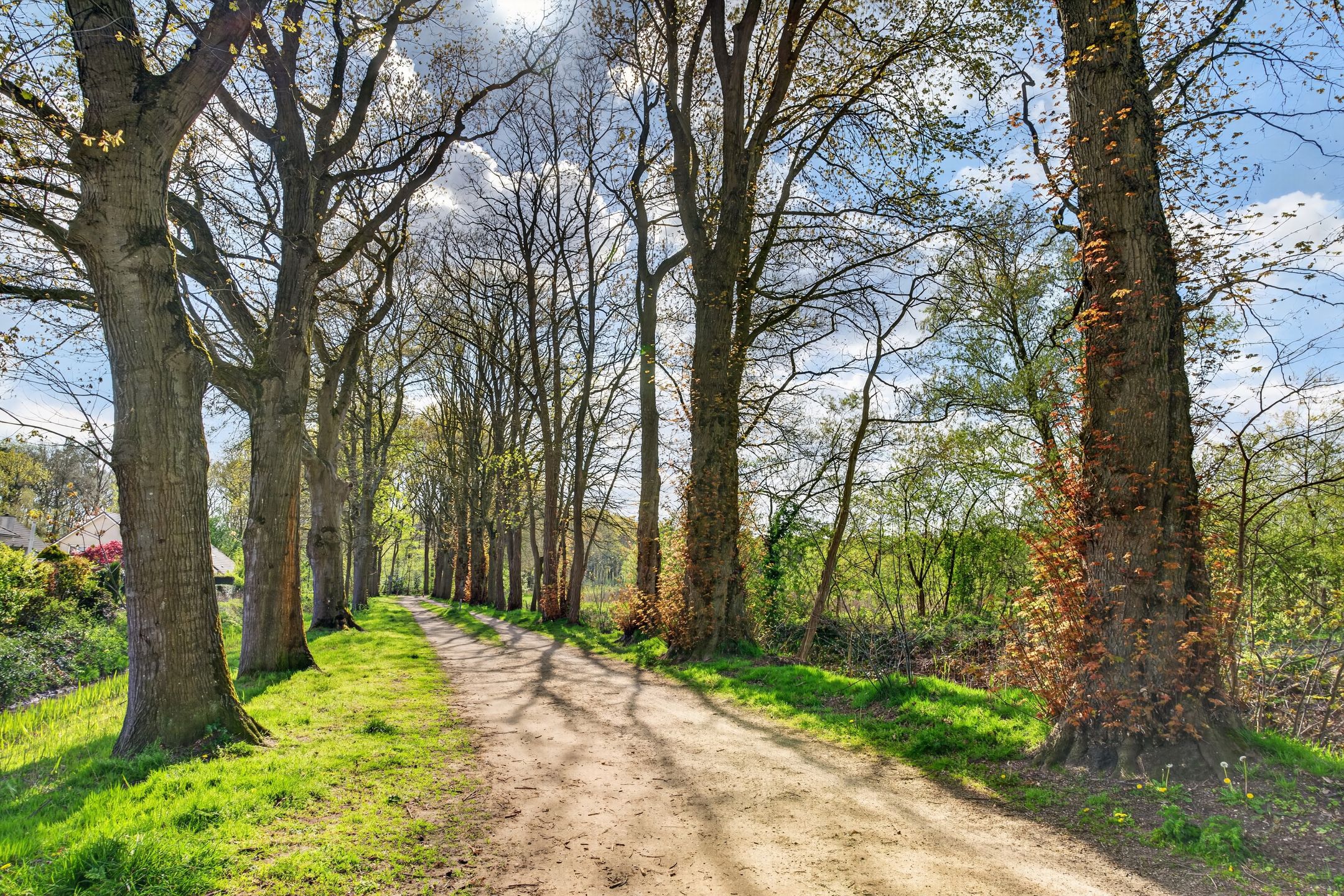 Foto 45 van Klimopstraat 13