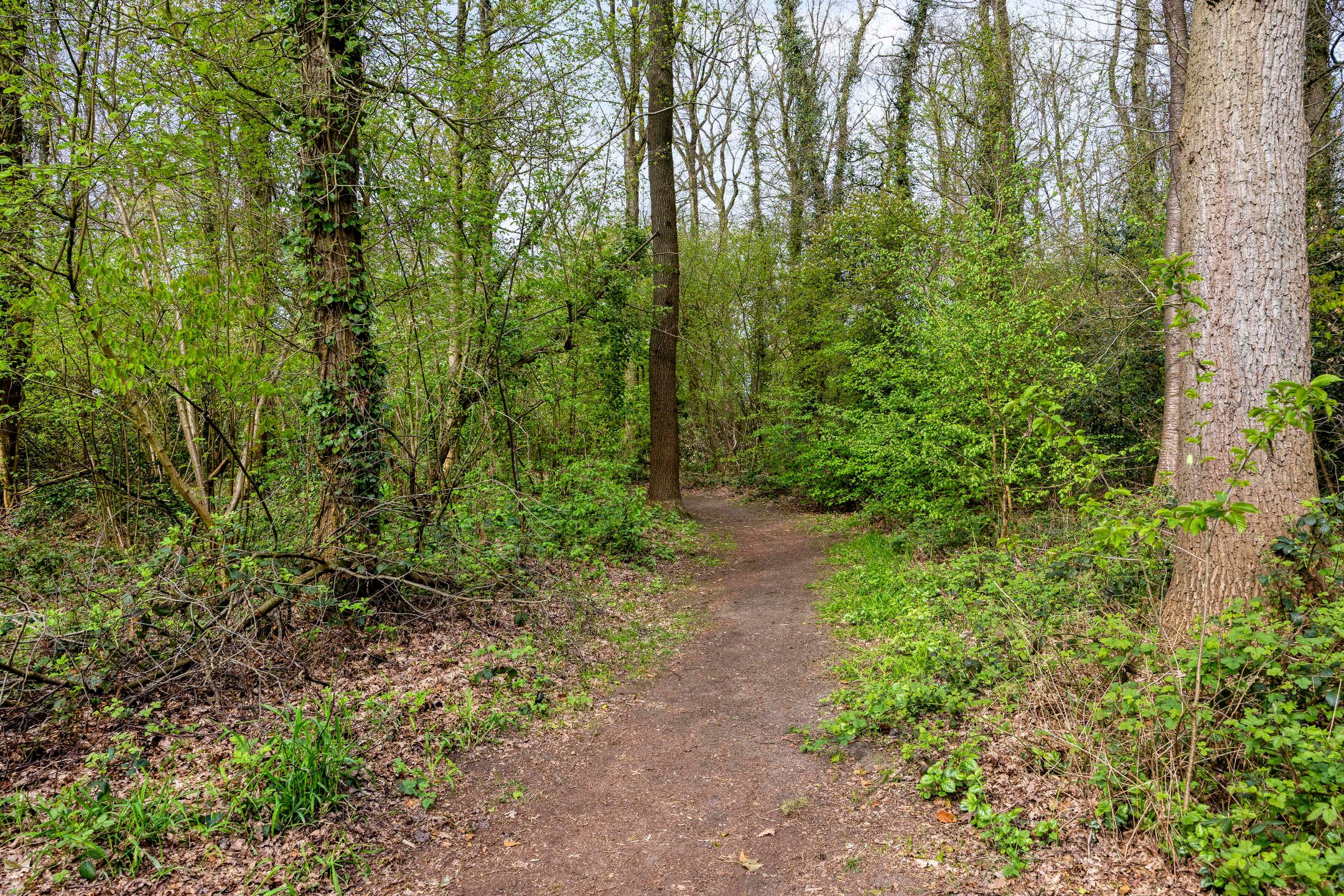 Foto 48 van Hoofdstraat 90