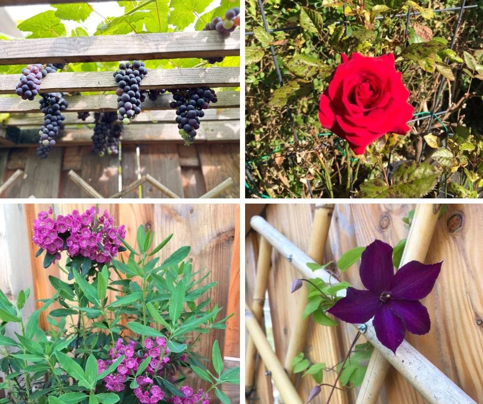 Foto 20 van Pleinweg 124-D