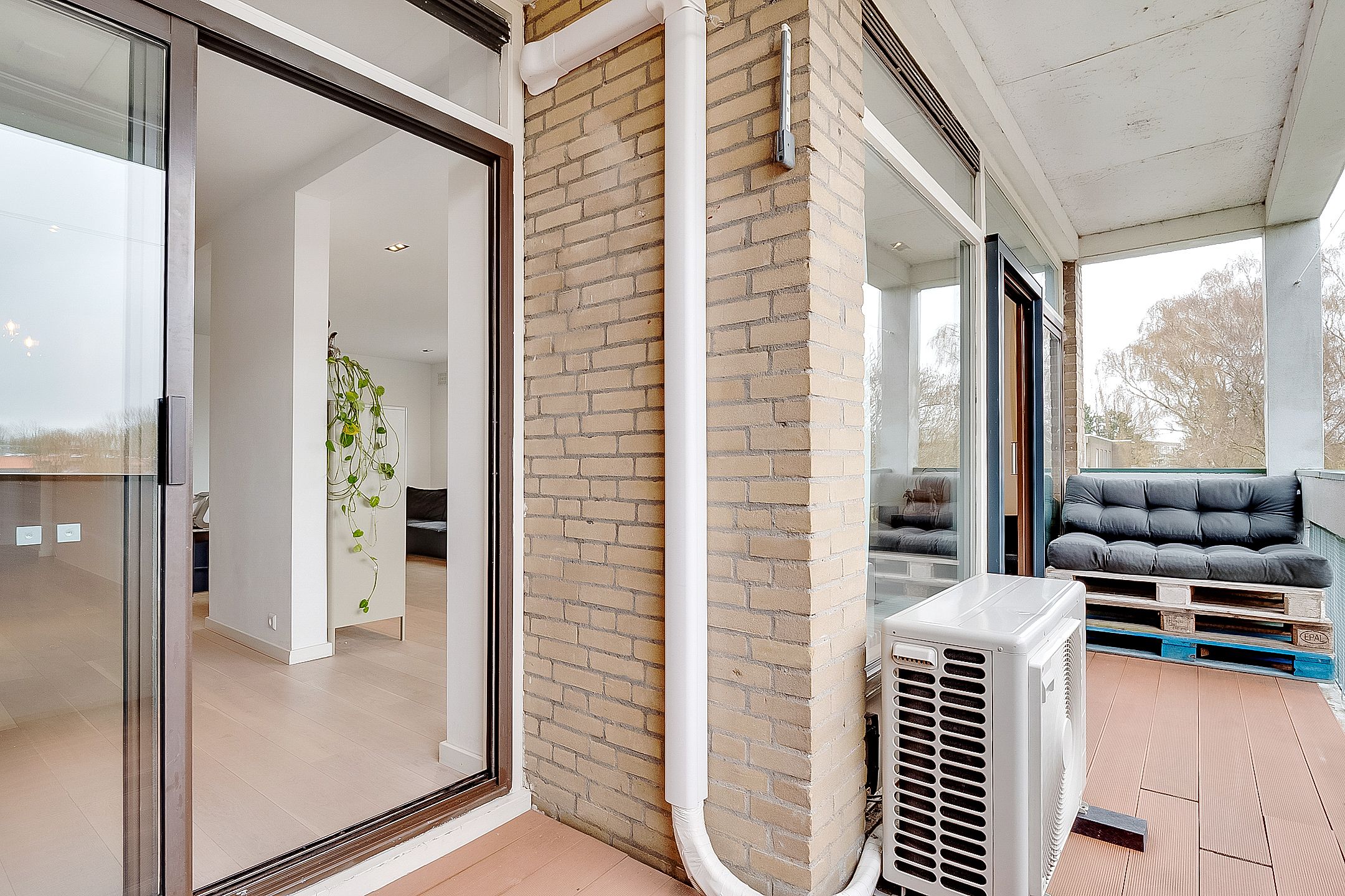 Foto 18 van Waddenland 59