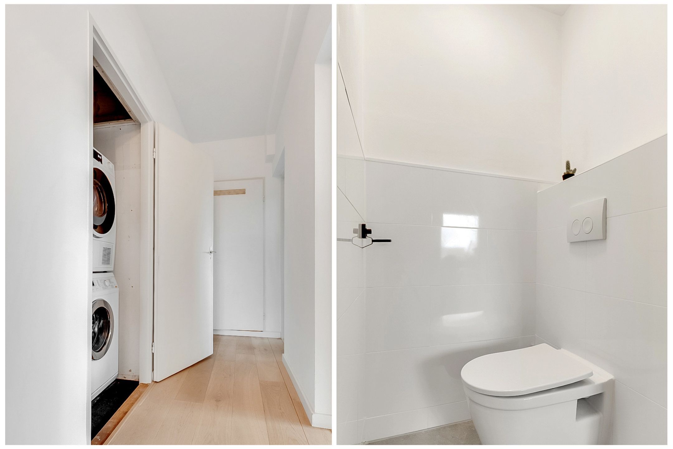 Foto 30 van Waddenland 59