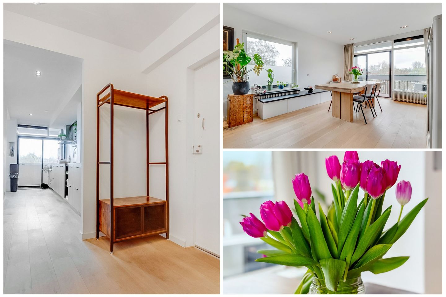 Foto 10 van Waddenland 59