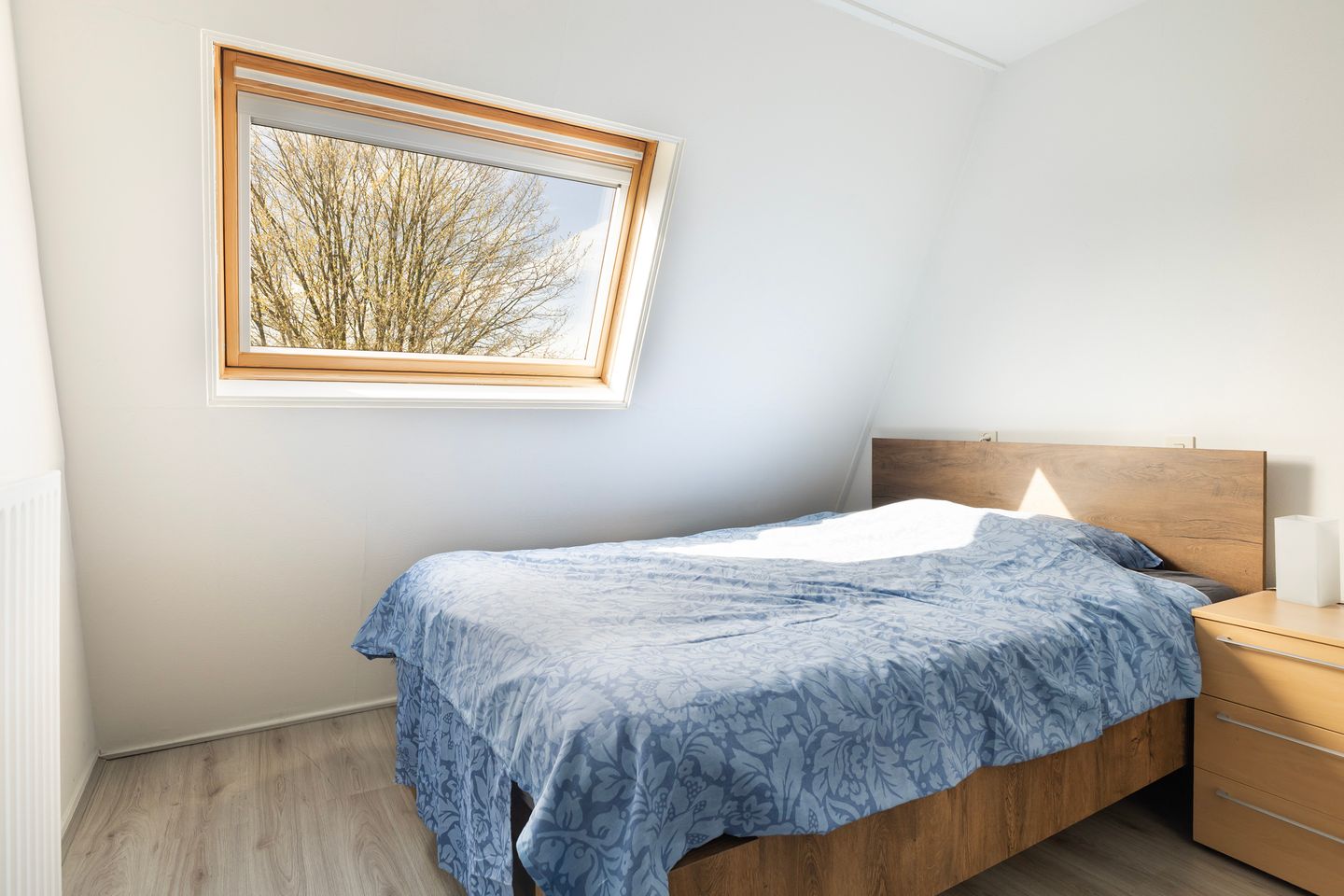 Foto 10 van Aggemastate 246