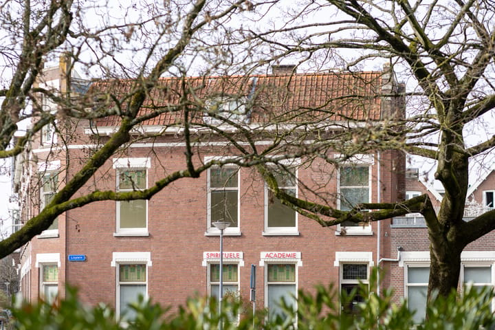Lisplein 17
