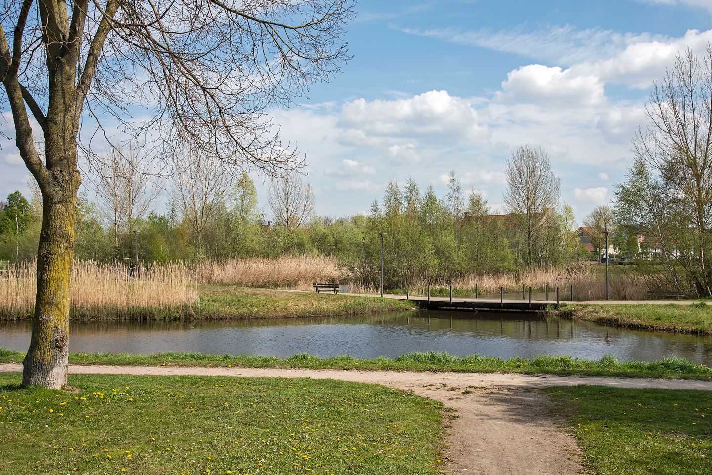 Foto 44 van Snoek 22