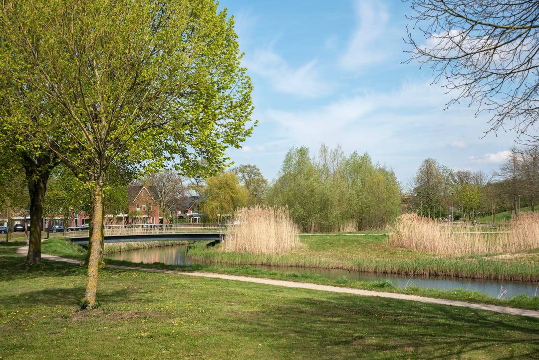 Foto 43 van Snoek 22