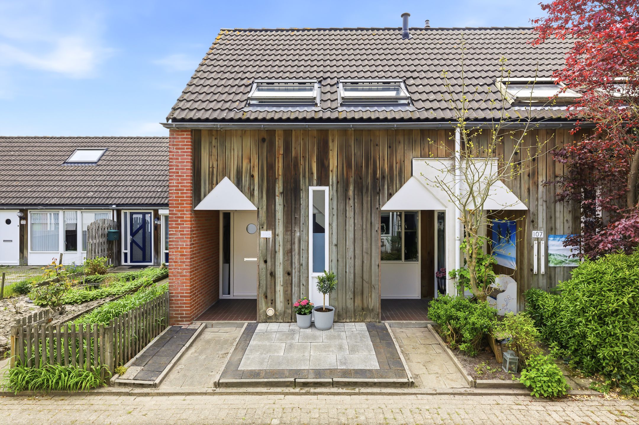 Foto 6 van Kanariesprenk 105