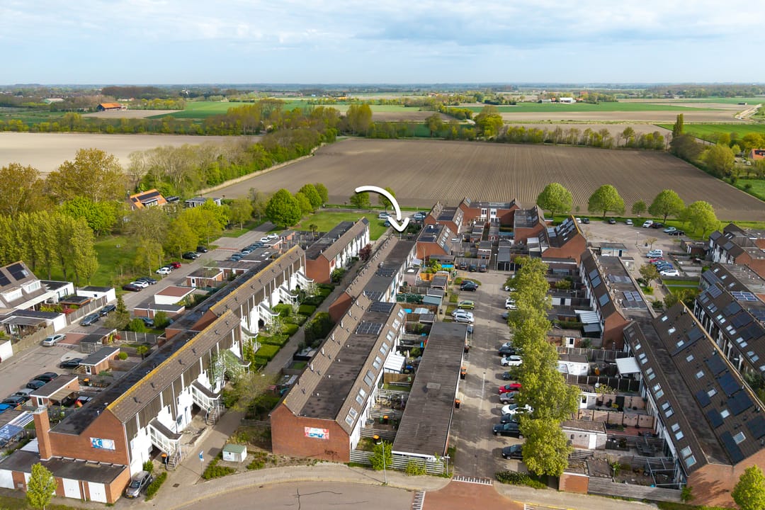 Foto 31 van Kanariesprenk 105