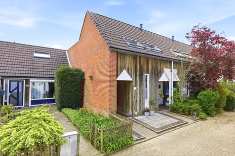 Kanariesprenk thumbnail