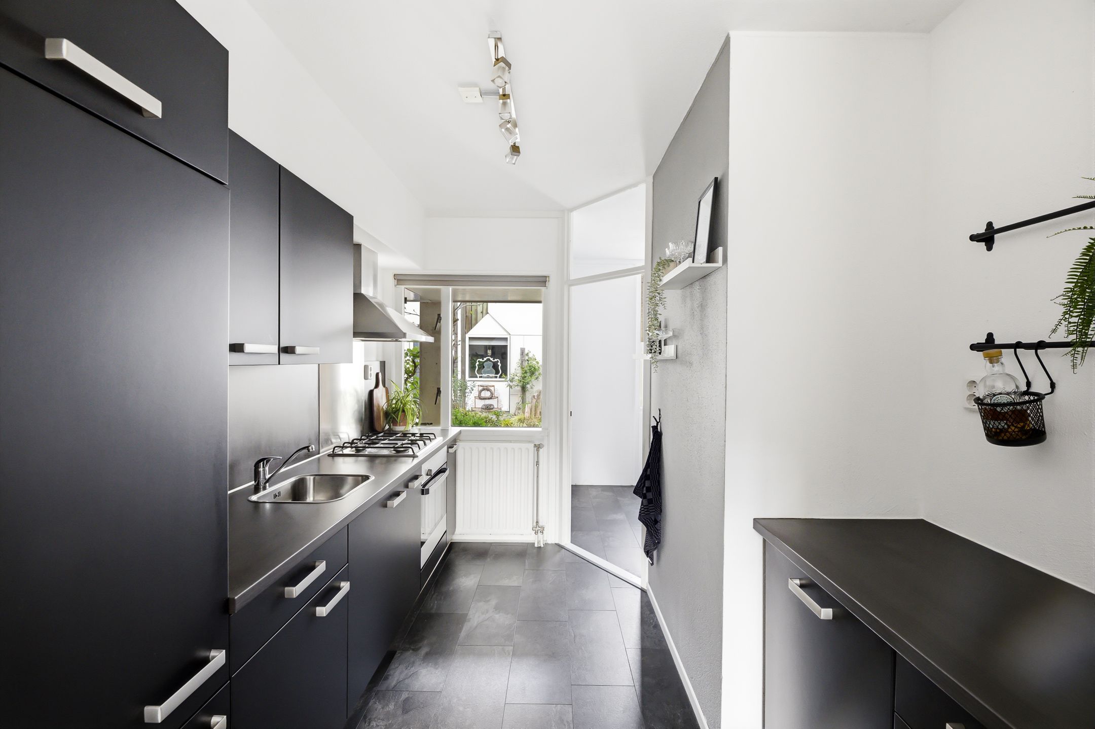 Foto 3 van Kanariesprenk 105