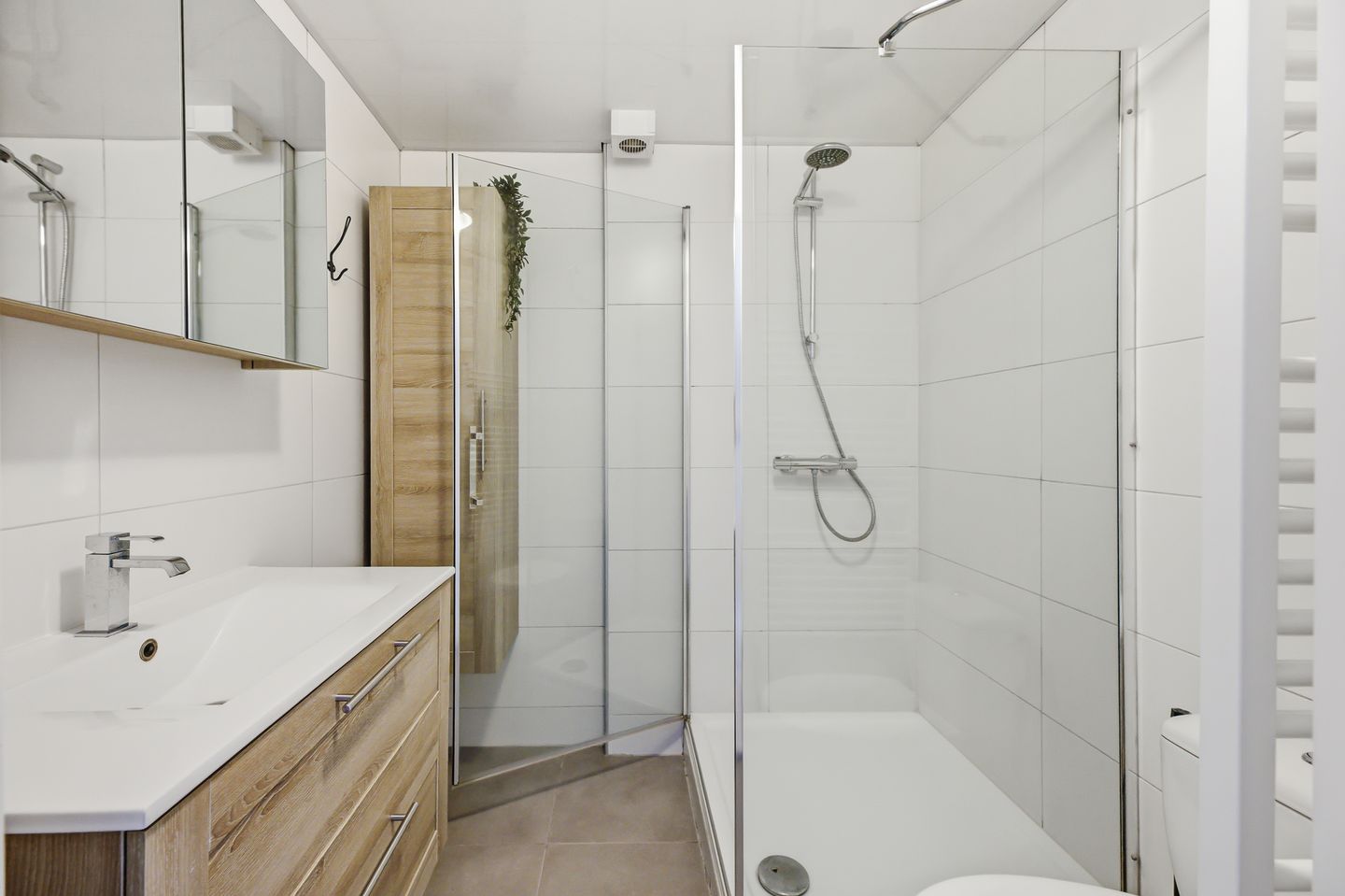 Foto 4 van Kanariesprenk 105