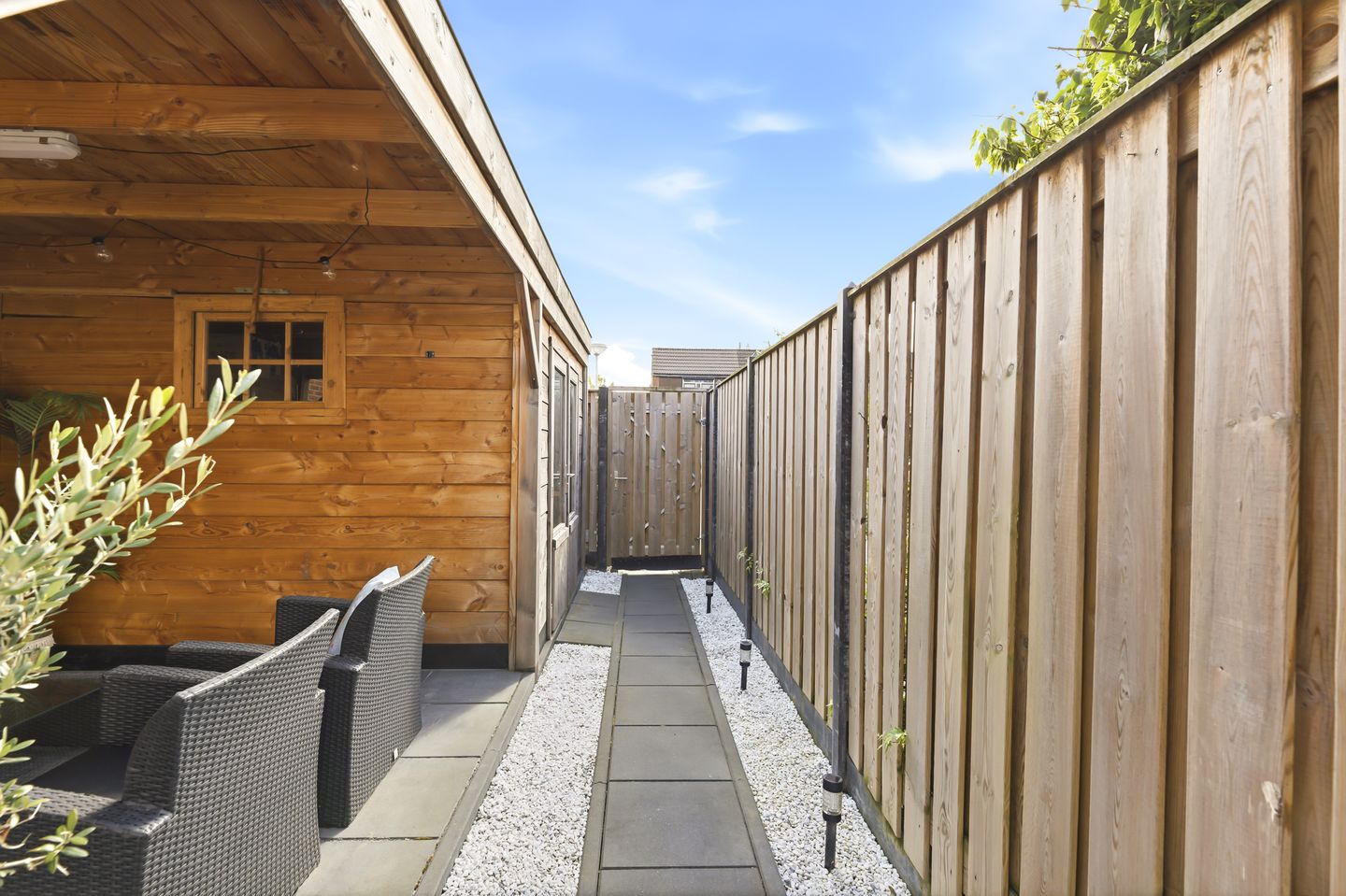 Foto 19 van Kanariesprenk 105