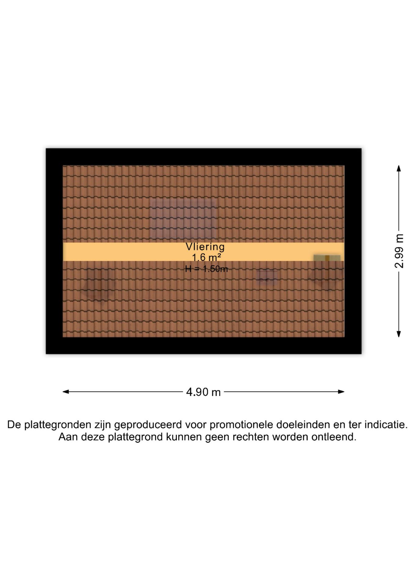 Foto 35 van Kanariesprenk 105