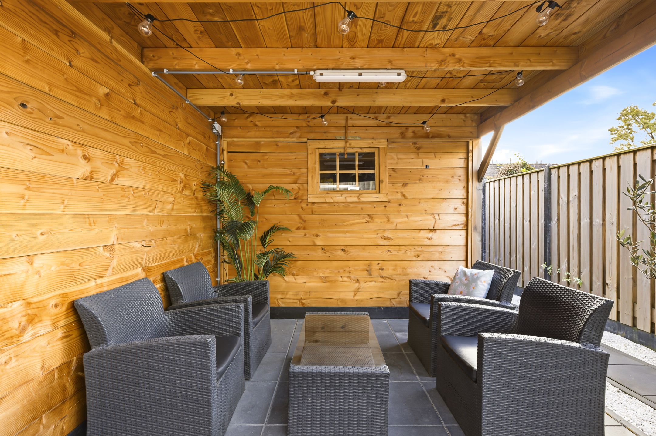 Foto 18 van Kanariesprenk 105