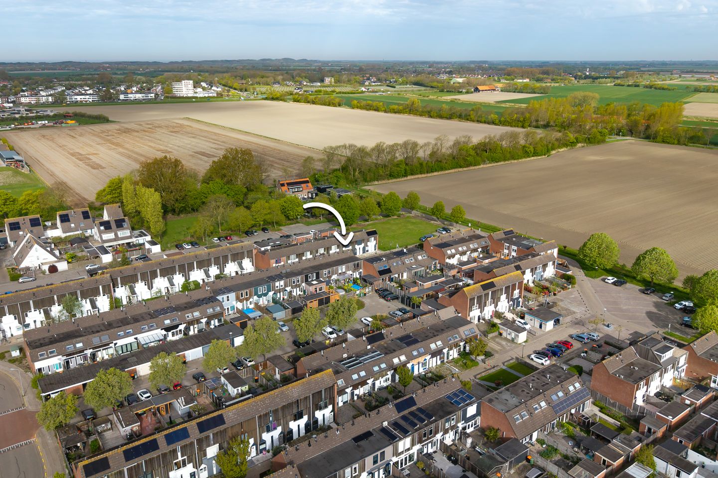 Foto 5 van Kanariesprenk 105