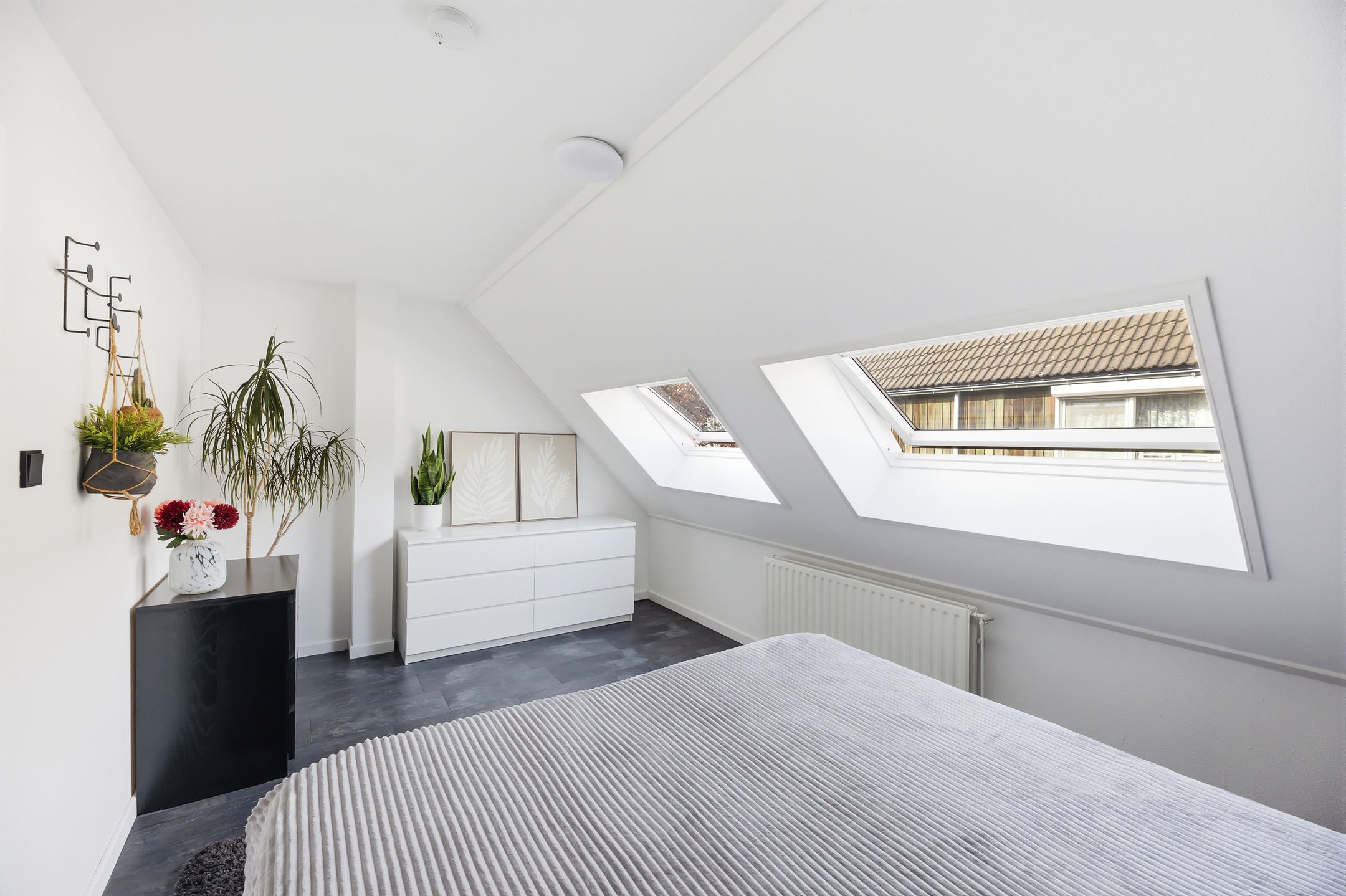 Foto 24 van Kanariesprenk 105