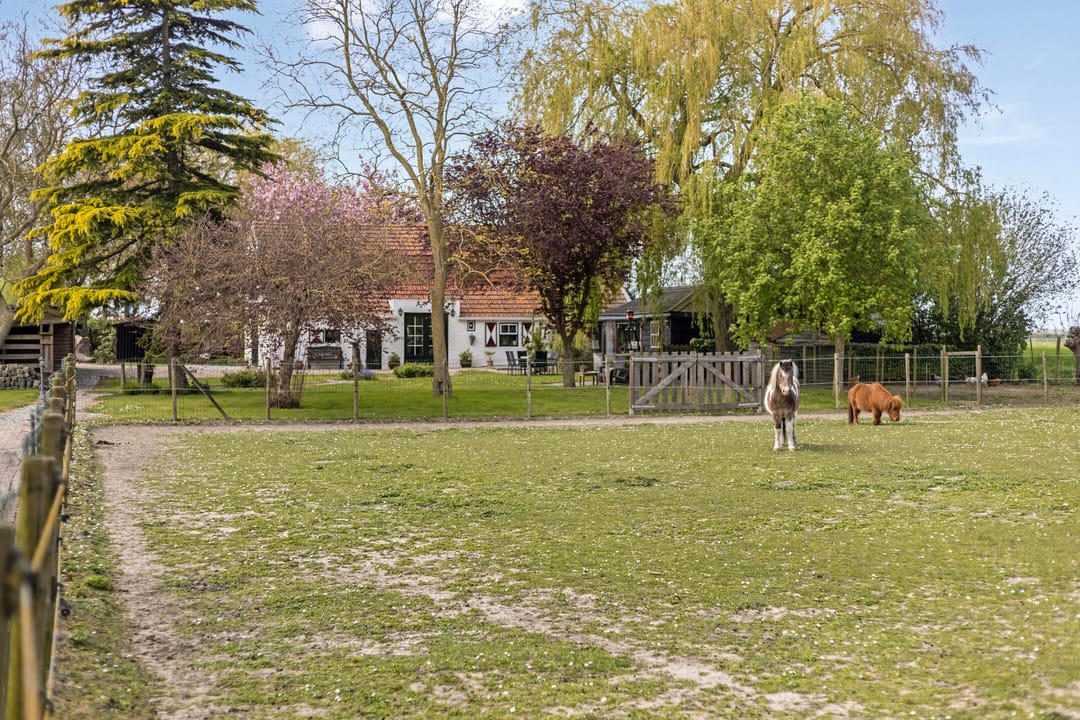 Photo 38 of Scherpbierseweg 15