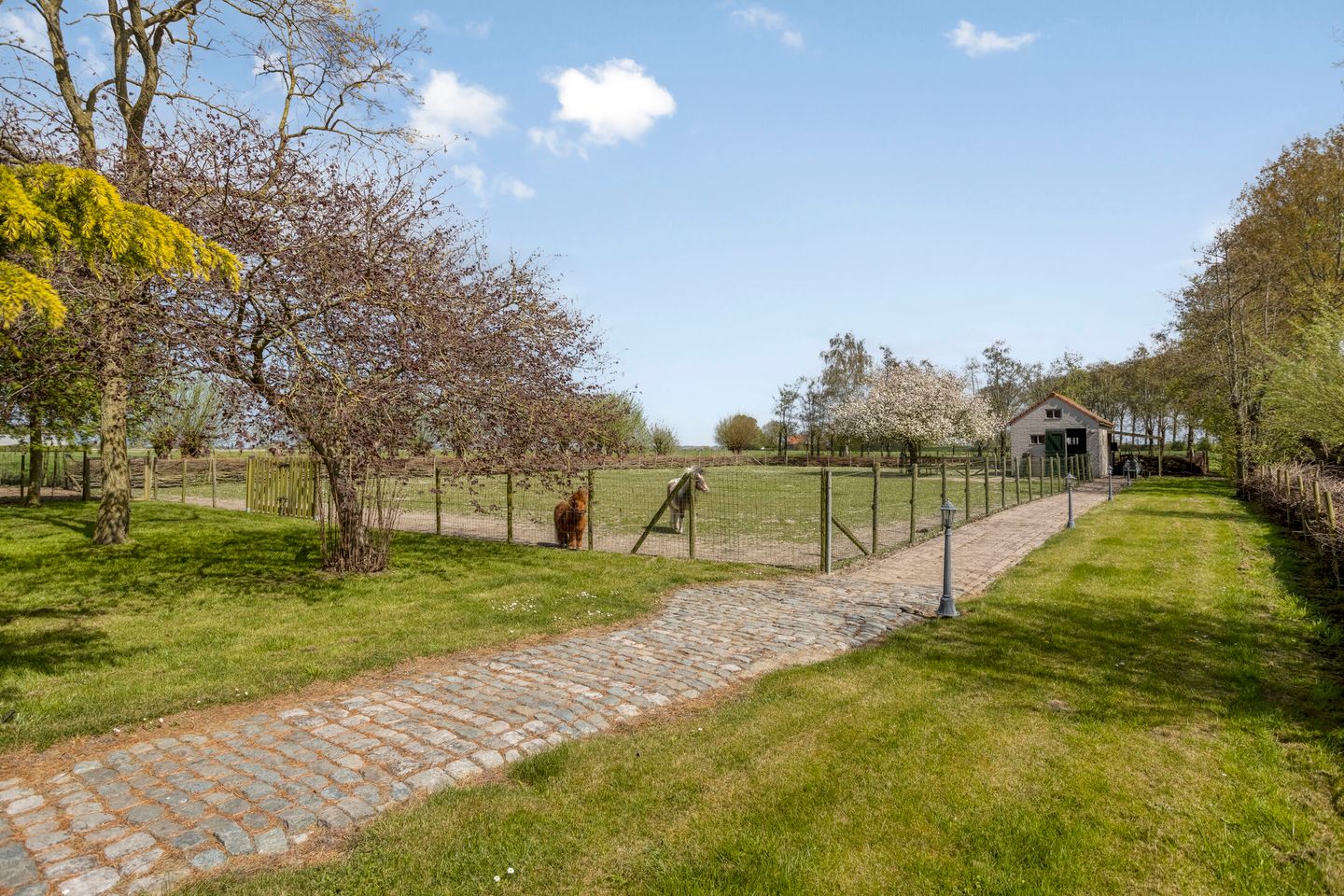 Photo 35 of Scherpbierseweg 15