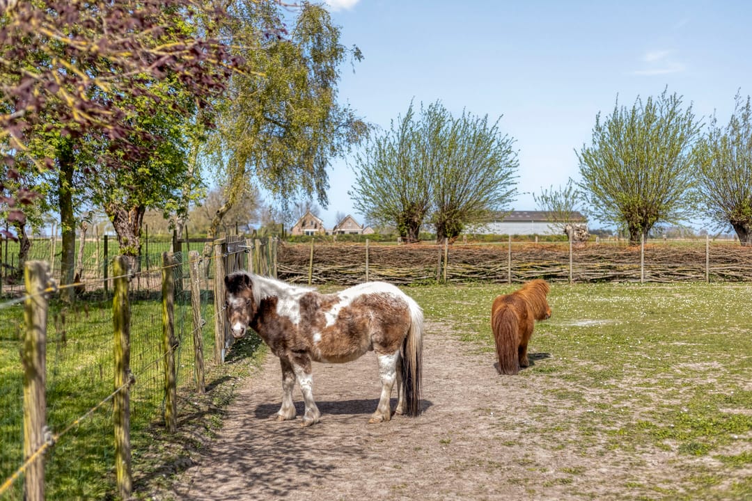 Photo 37 of Scherpbierseweg 15