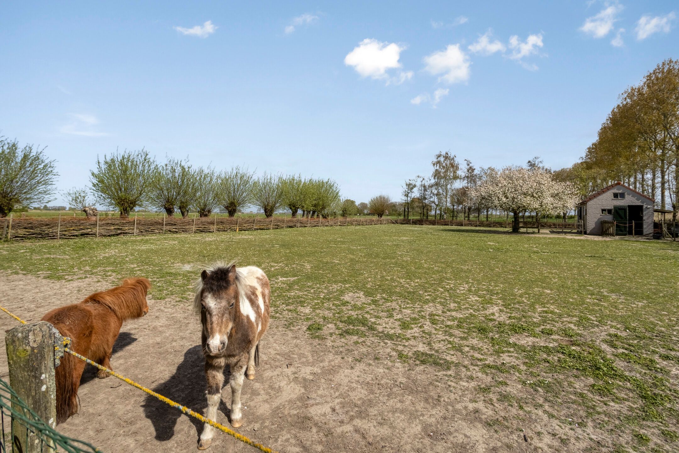 Photo 36 of Scherpbierseweg 15